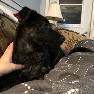 Meet your Posher, Tammy